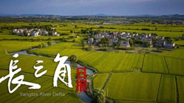 牛八体育-“苏超”赛场“气晕”的小恐龙有IP文创了